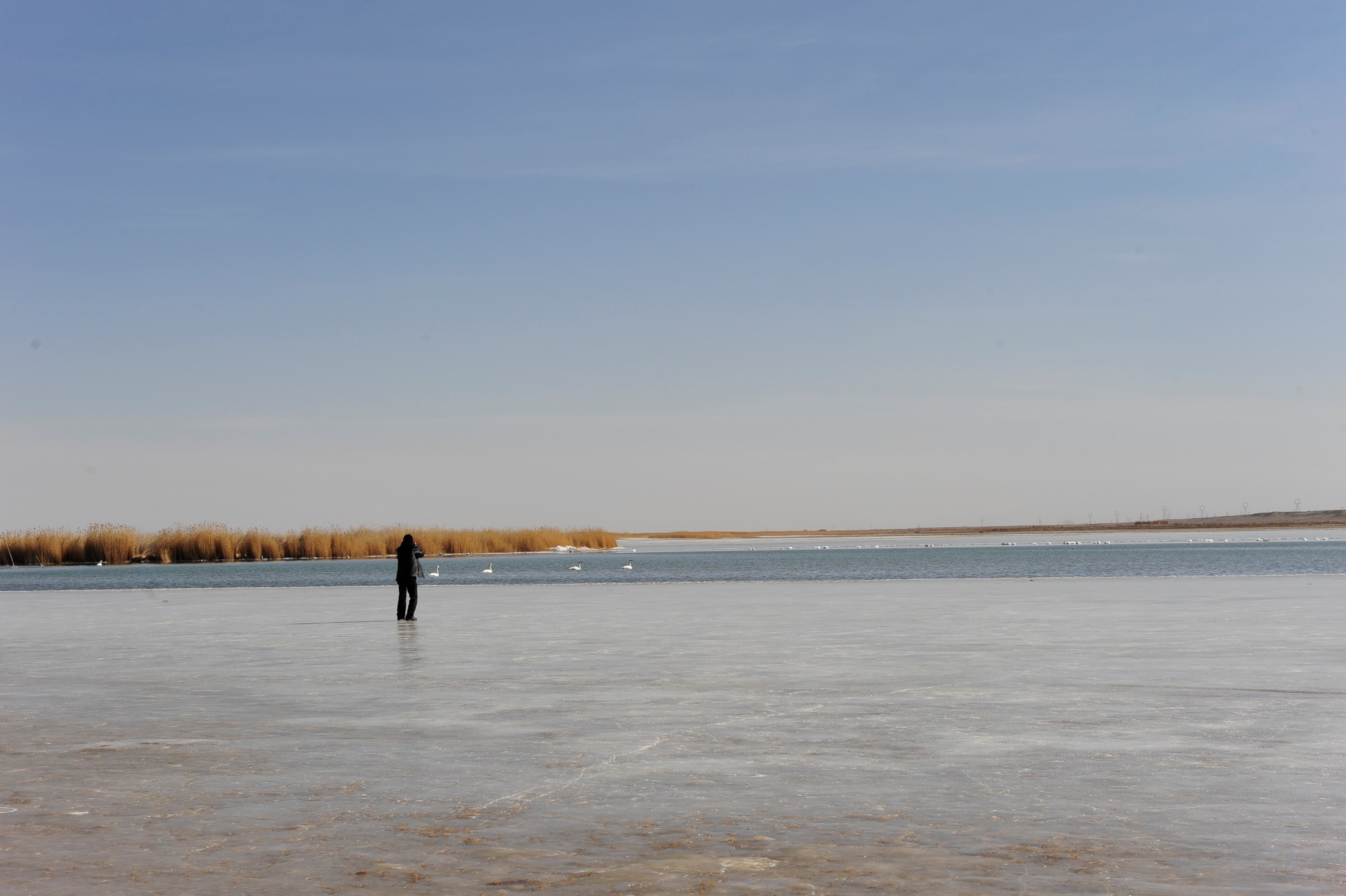 2025澳门原料免费大全