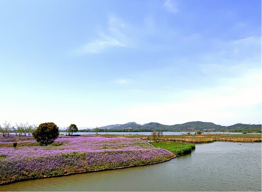 2025澳门原料免费大全