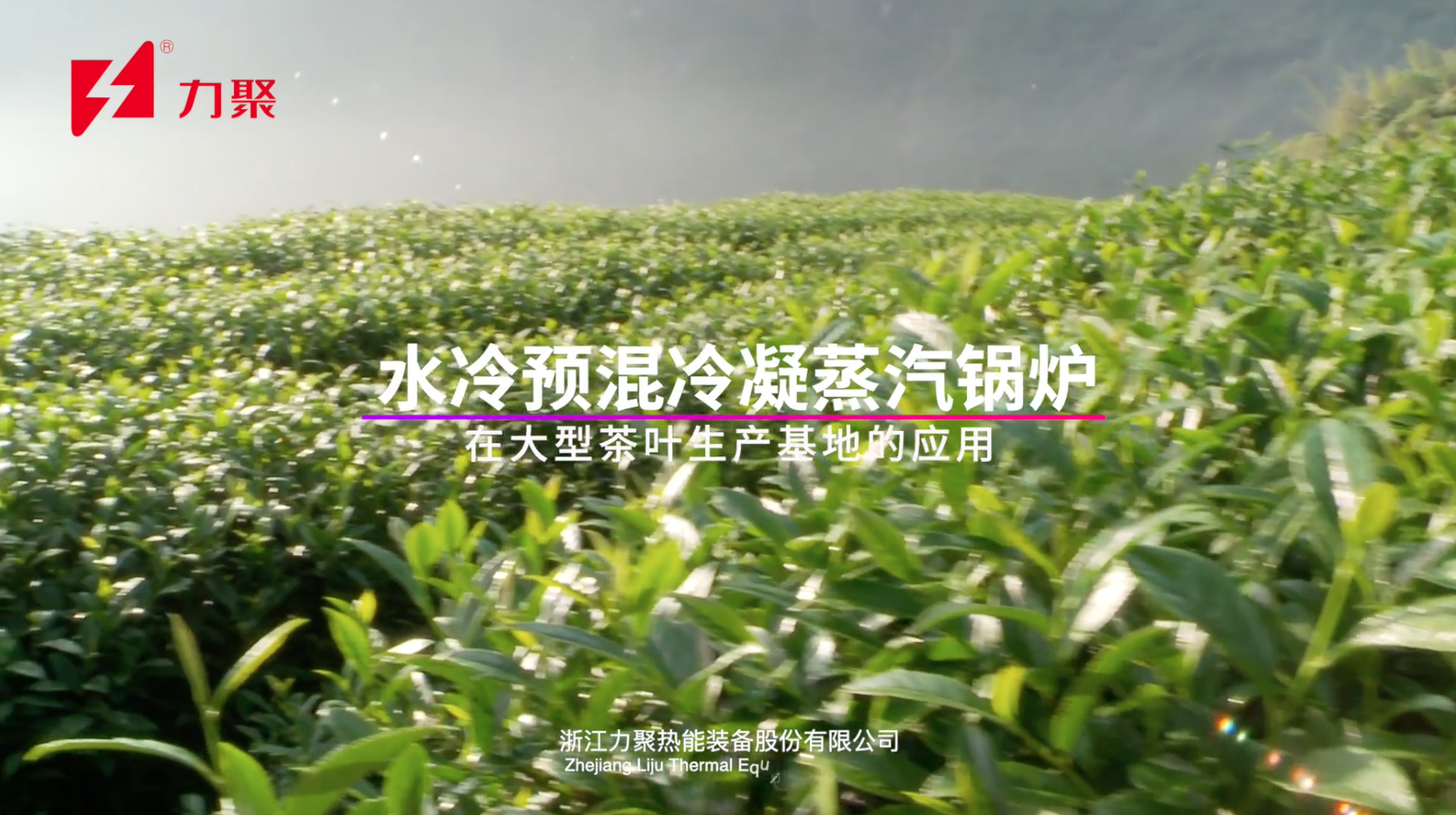 2025澳门原料免费大全