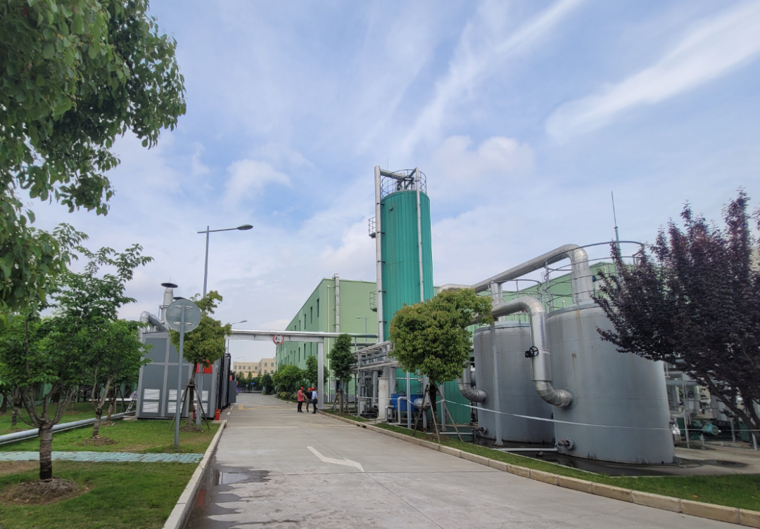 2025澳门原料免费大全